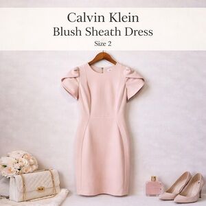 Calvin Klein Blush Pink Sheath Dress Size 2 Short Sleeve Stretch Career